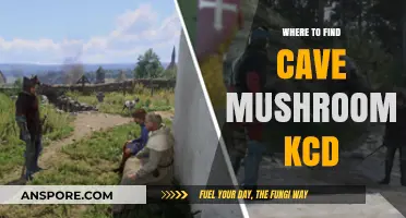 Discover Hidden Cave Mushrooms in KCD: Top Locations Guide