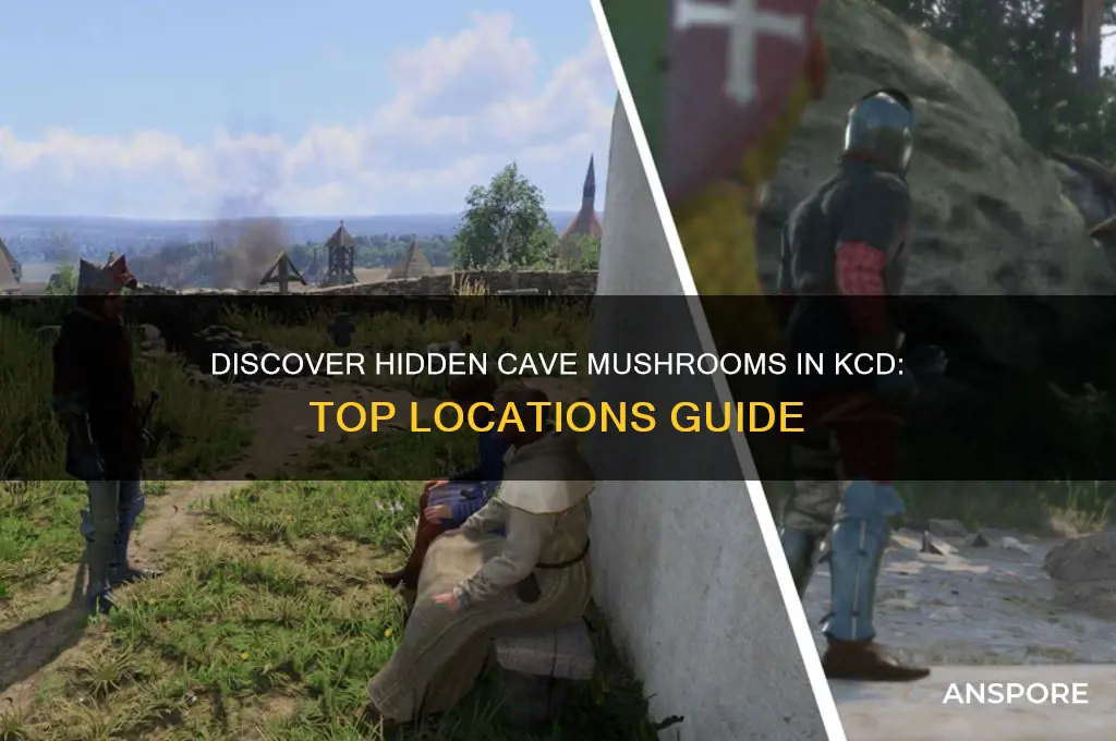 where to find cave mushrooms kcd