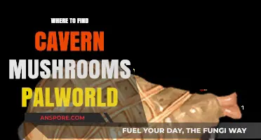 Discover Cavern Mushrooms in Palworld: Top Locations to Explore