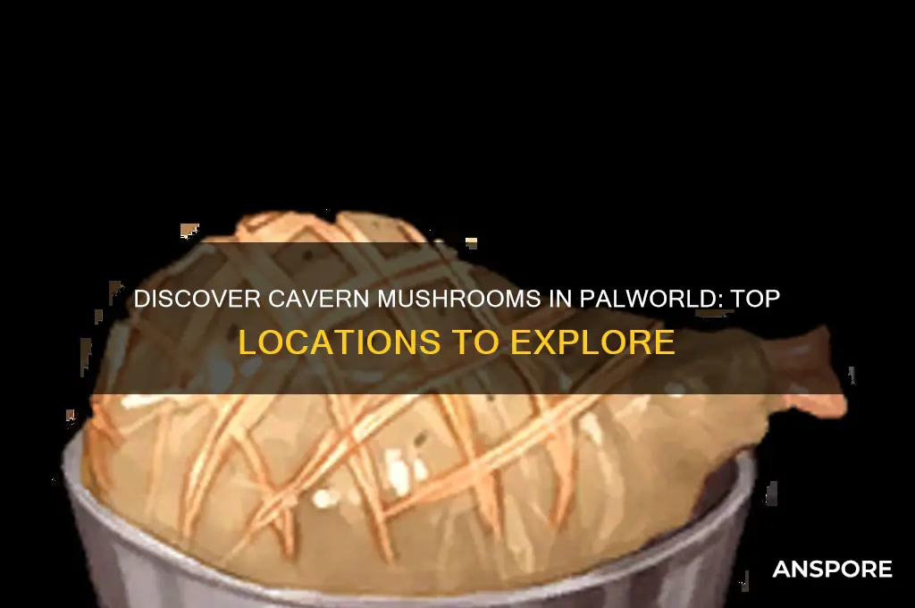 where to find cavern mushrooms palworld