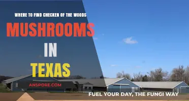 Discover Chicken of the Woods Mushrooms in Texas: Top Spots