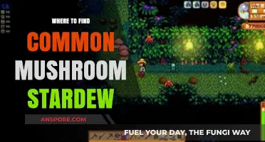 Stardew Valley Mushroom Hunting: Best Spots for Common Mushrooms