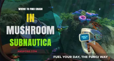 Discover Crash in Mushroom Forest: Subnautica Guide & Tips