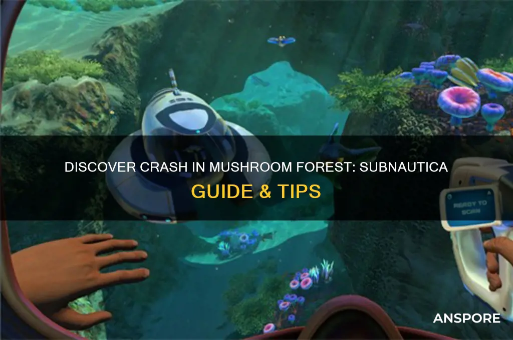 where to find crash in mushroom subnautica