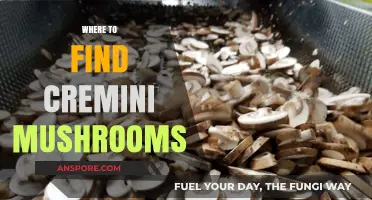 Discovering Cremini Mushrooms: Top Locations and Tips for Finding Them