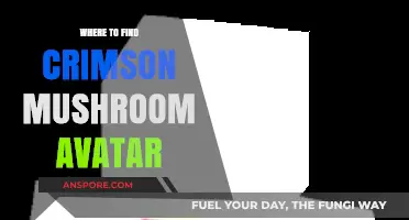 Discover the Best Locations for Crimson Mushroom Avatar in-Game