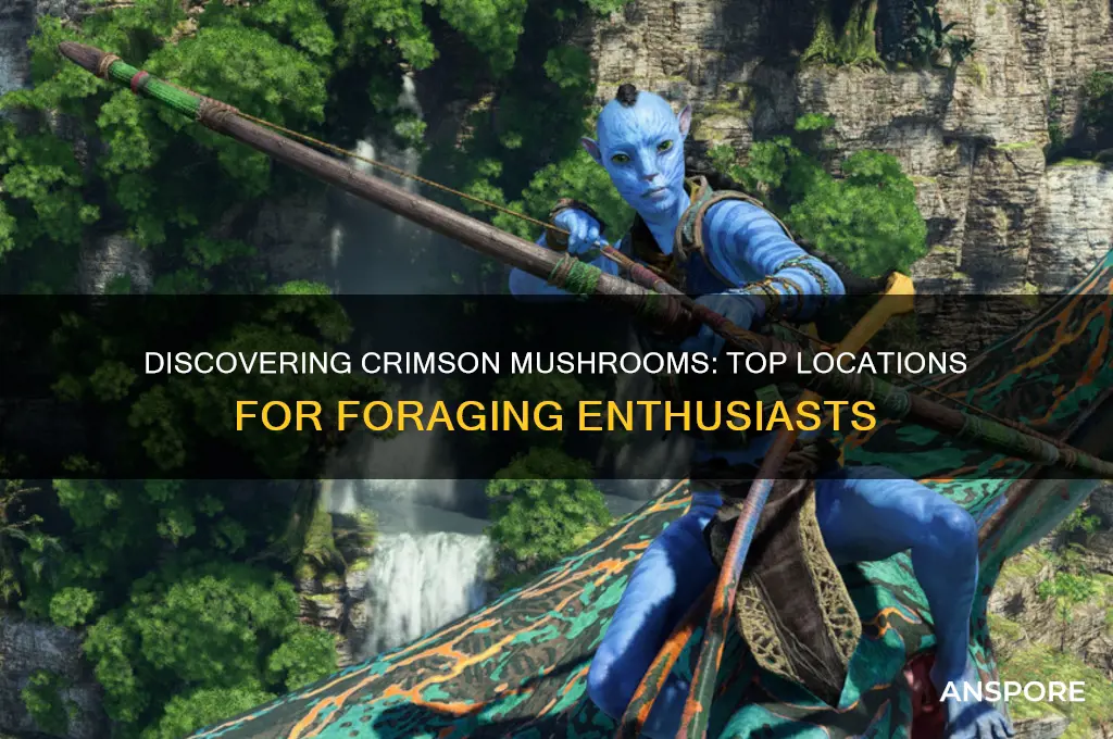 where to find crimson mushroom