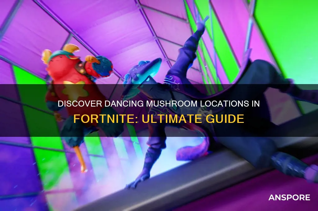 where to find dancing mushroom fortnite