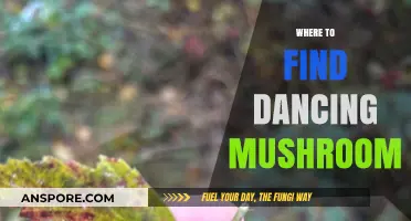 Discover Magical Dancing Mushrooms: Top Spots to Find Them