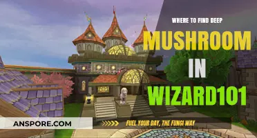 Discover Deep Mushroom Locations in Wizard101: A Comprehensive Guide