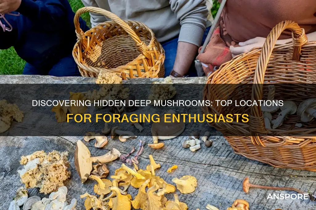 where to find deep mushrooms