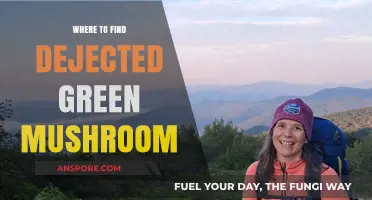 Discovering Dejected Green Mushrooms: Top Locations and Hunting Tips