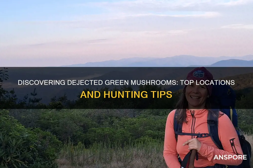 where to find dejected green mushroom