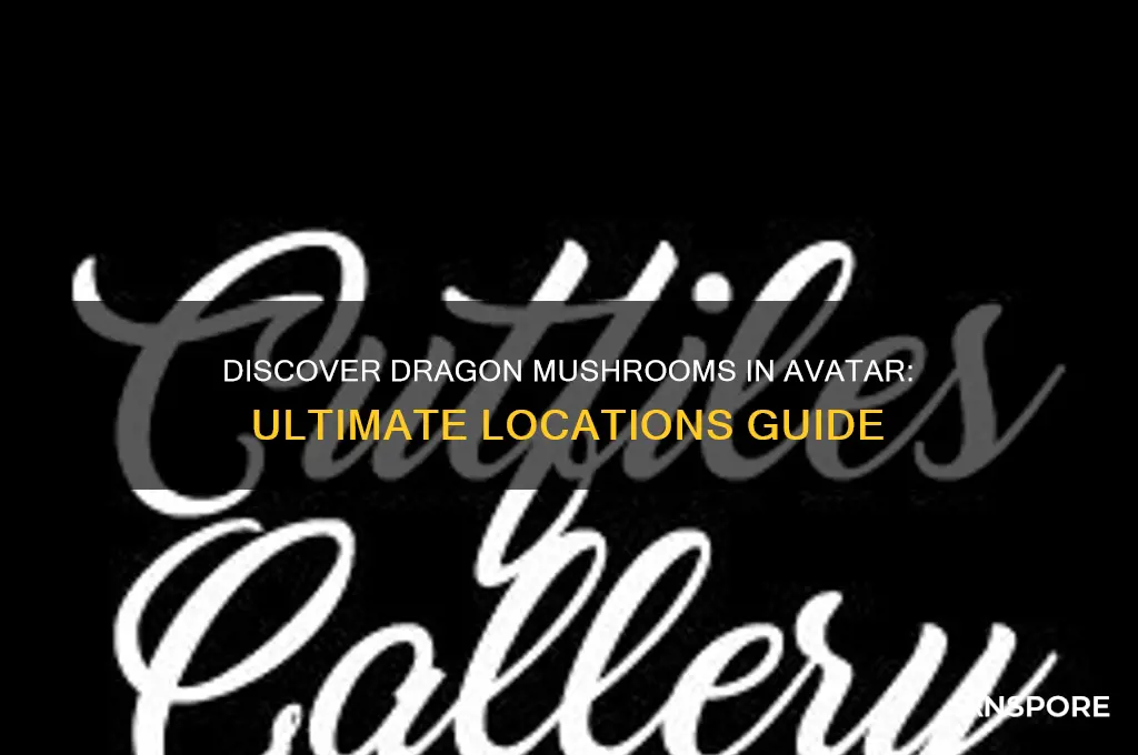 where to find dragon mushrooms avatar