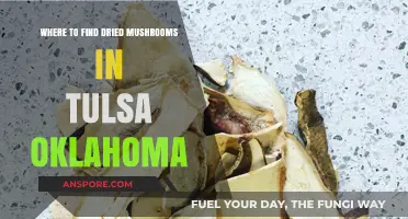 Discover Dried Mushrooms in Tulsa: Top Local Sources and Shops