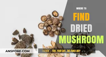Discover the Best Sources for Dried Mushrooms: A Comprehensive Guide