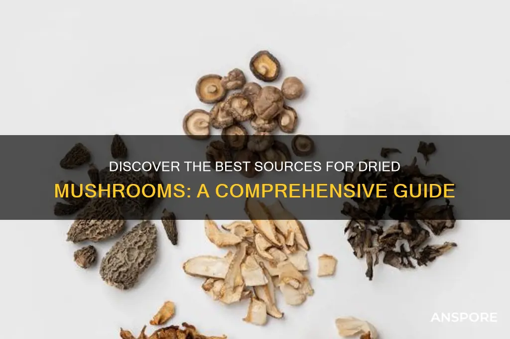 where to find dried mushrooms