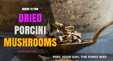 Discover the Best Sources for Dried Porcini Mushrooms Online & Locally