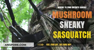 Discover Dryad's Saddle Mushroom Locations in Sneaky Sasquatch: A Guide