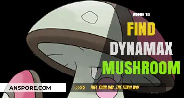 Discover Hidden Dynamax Mushrooms: Best Locations and Tips to Find Them