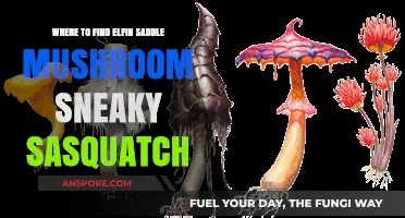 Discover Elfin Saddle Mushrooms in Sneaky Sasquatch: Top Locations