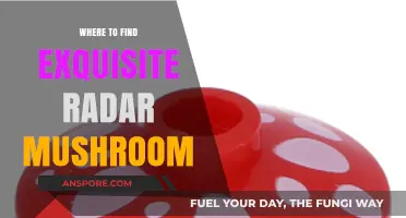 Discovering Exquisite Radar Mushrooms: Top Locations for Rare Finds