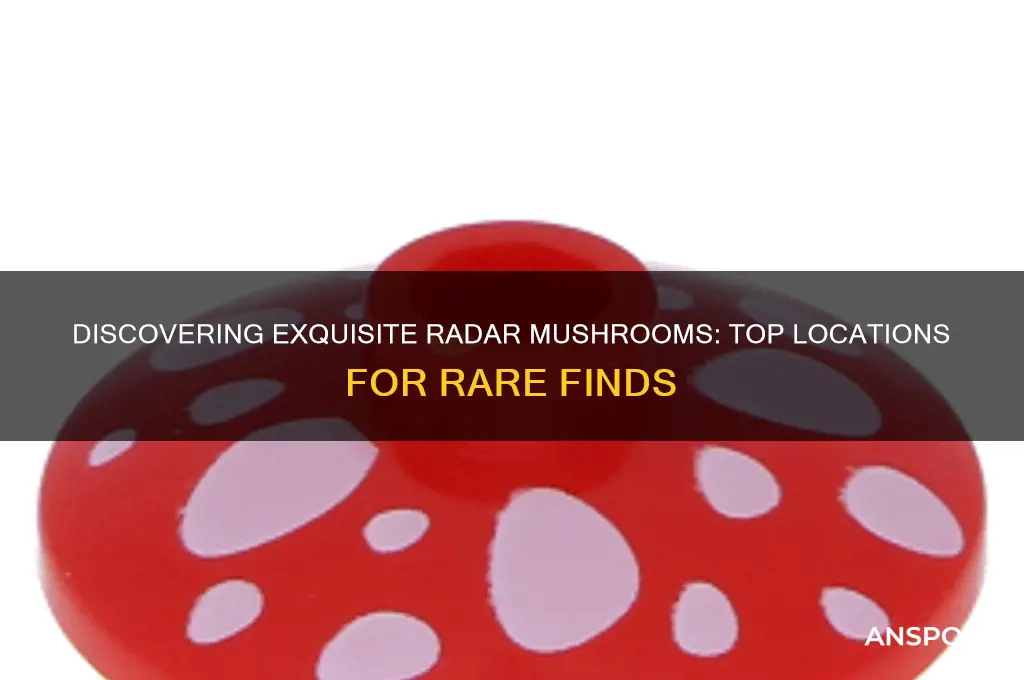 where to find exquisite radar mushroom