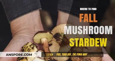 Stardew Valley's Autumn Mushroom Hunt: Best Spots for Foraging