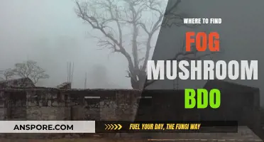 Discovering Fog Mushrooms in BDO: Prime Locations and Harvesting Tips