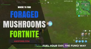 Fortnite Foraging Guide: Best Spots to Find Wild Mushrooms