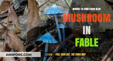 Discovering Fable's Hidden Four Blue Mushrooms: Prime Locations Revealed