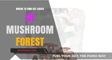 Discover Gel Sack Locations in Mushroom Forest: A Comprehensive Guide