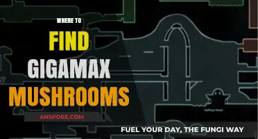 Discover Gigamax Mushrooms: Top Locations for Rare Fungal Finds