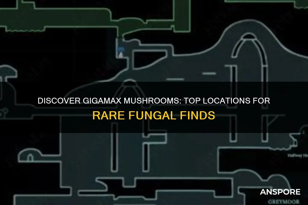 where to find gigamax mushrooms