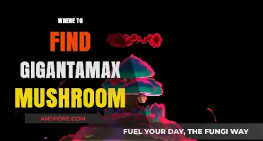 Discover Hidden Gigantamax Mushrooms: Top Locations for Rare Finds