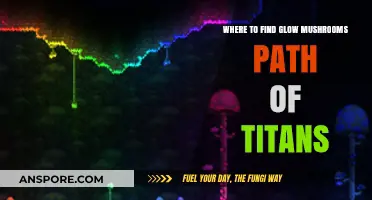 Discovering Glow Mushrooms in Path of Titans: Best Locations Guide