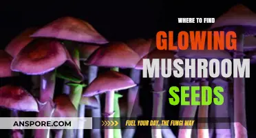 Discover Hidden Sources for Glowing Mushroom Seeds: A Comprehensive Guide