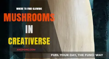 Discover Glowing Mushrooms in Creativerse: Top Locations and Tips