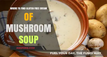 Discover Gluten-Free Cream of Mushroom Soup Options Near You