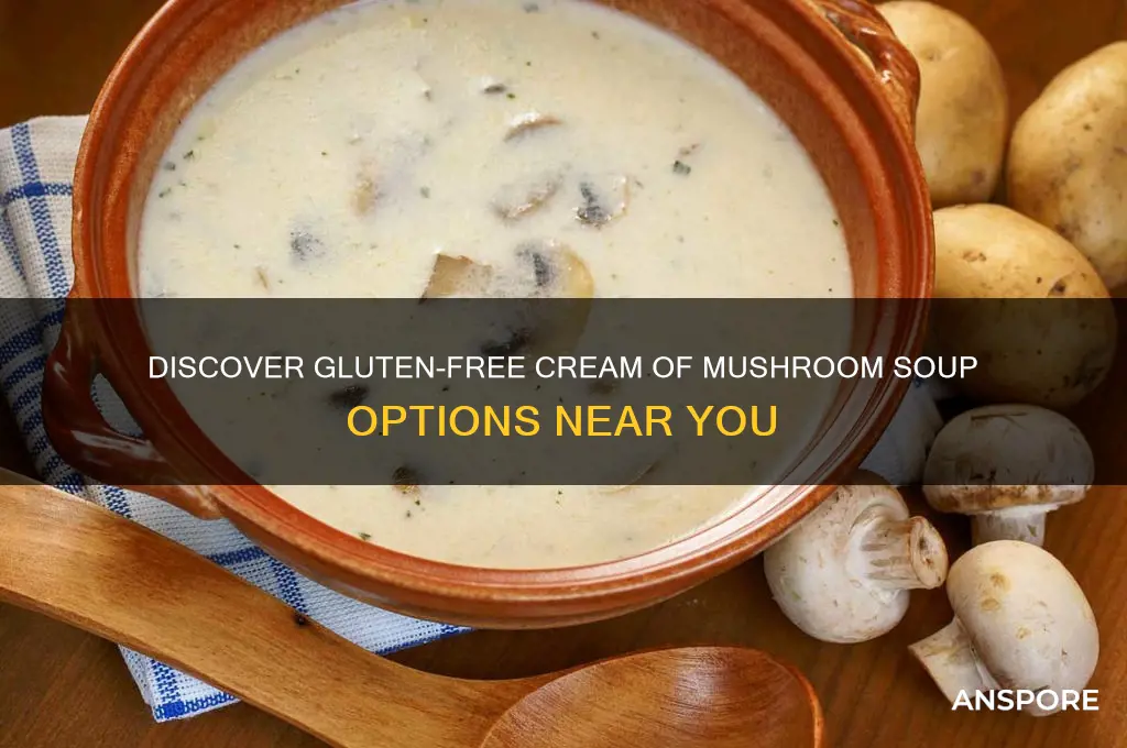where to find gluten free cream of mushroom soup