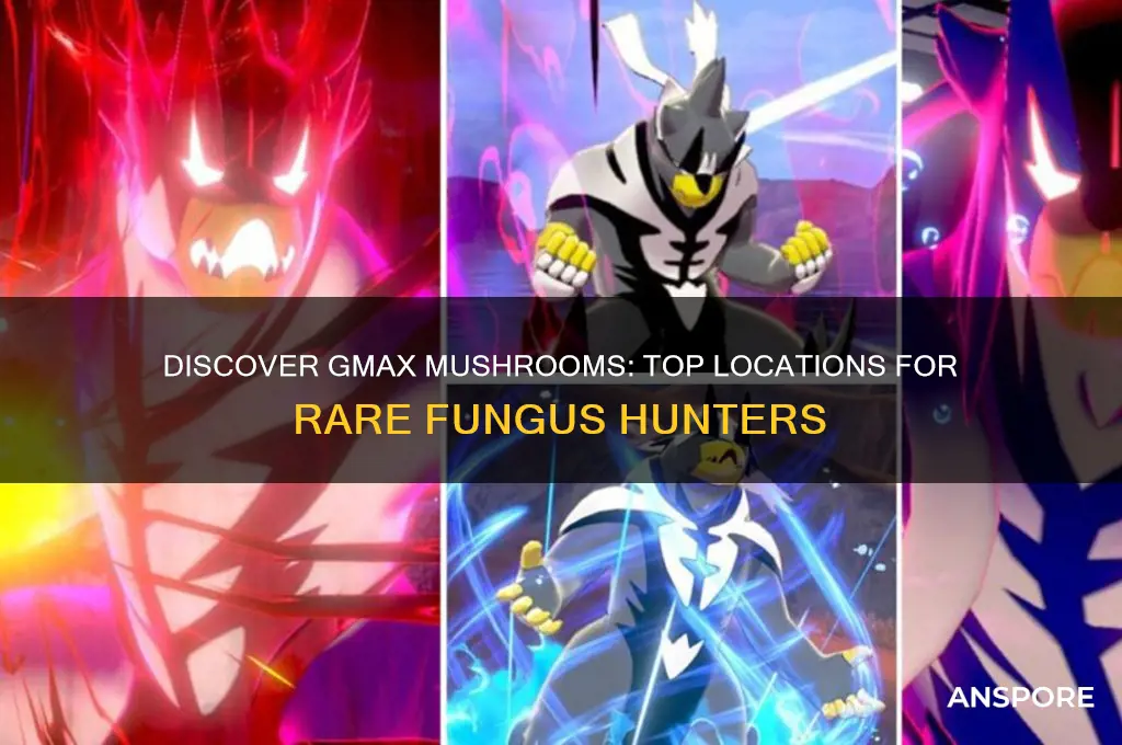 where to find gmax mushrooms