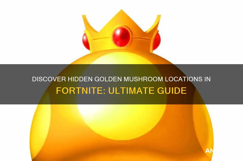 where to find golden mushroom fortnite