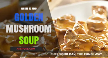 Discover the Best Spots for Golden Mushroom Soup Delights
