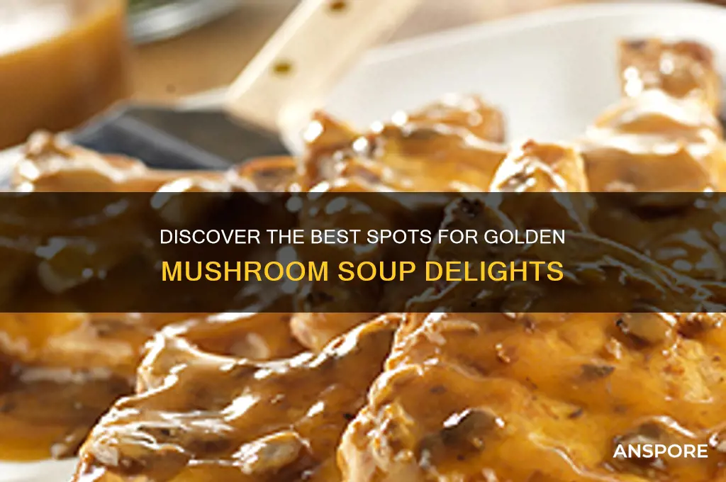 where to find golden mushroom soup
