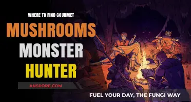Discover Gourmet Mushrooms in Monster Hunter: Top Locations Guide