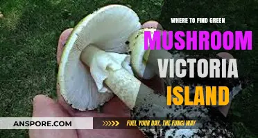 Discovering Victoria Island's Hidden Green Mushrooms: Top Spots to Explore