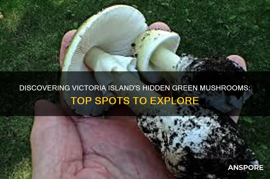 where to find green mushrooms victoria island