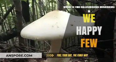 Exploring We Happy Few: Locating Hallucinogenic Mushrooms in Wellington Wells