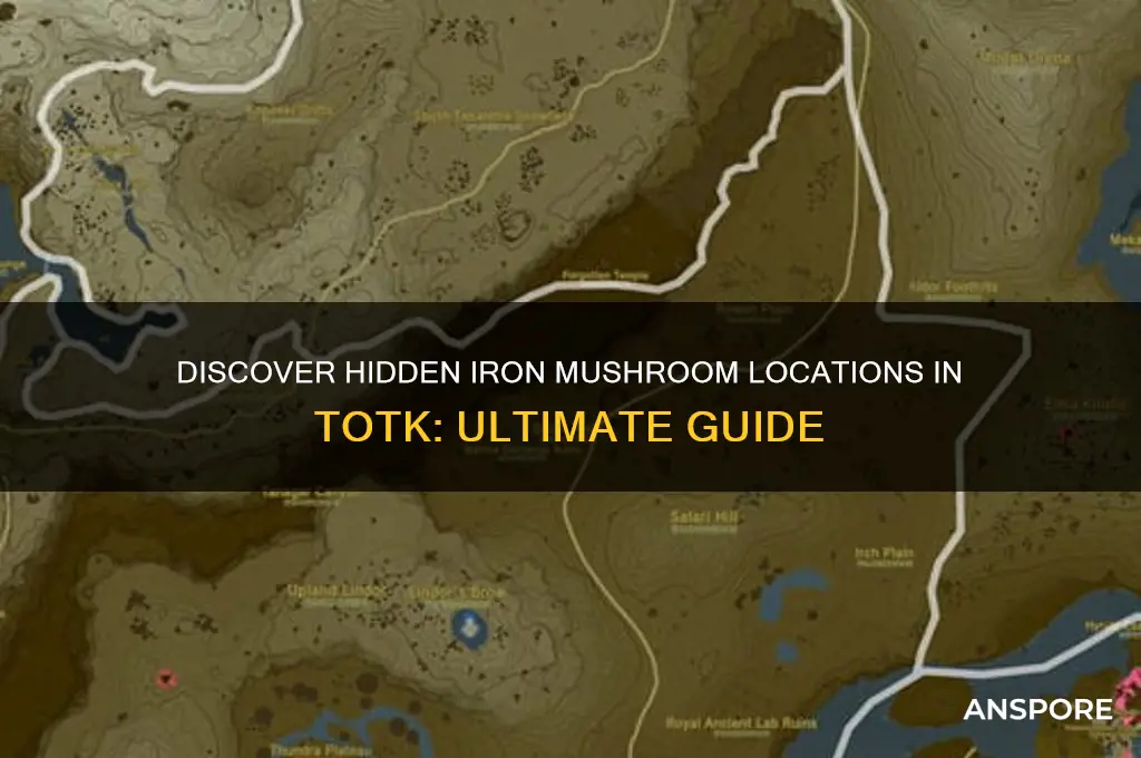 where to find iron mushrooms totk