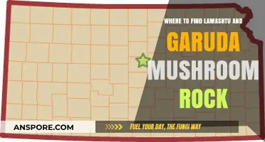 Discover Lamashtu and Garuda Mushroom Rock Locations: A Guide